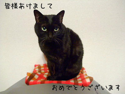 2009_01010030aa.JPG
