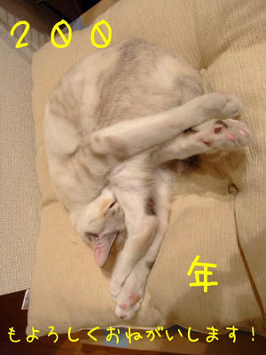 2009_01010002bb.JPG
