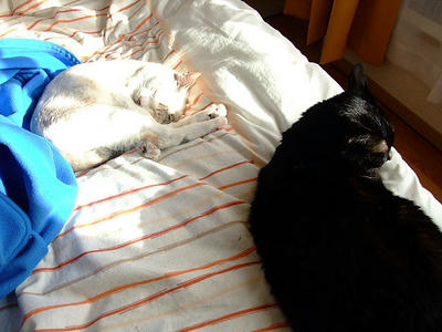 2009_01010044d.JPG