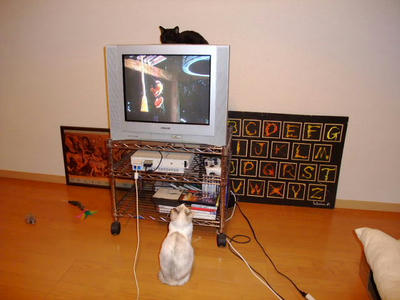 2009_01010028c.JPG