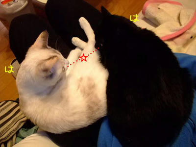 2009_01110014aa.JPG