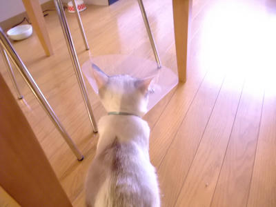 2009_02070007.JPG