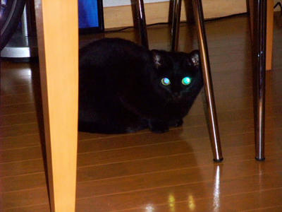 2008_10260190.JPG