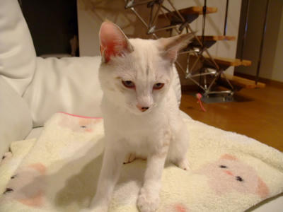 2008_10280024.JPG