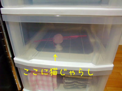 2009_03120002aa.JPG