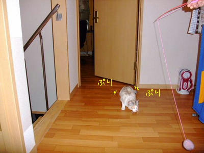 2009_03120046cc.JPG