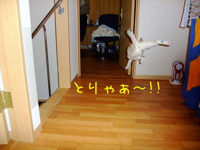 2009_03120042bb.JPG