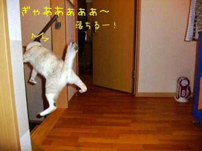2009_03120073hh.JPG