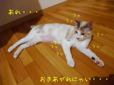 2009_03120085jj.JPG