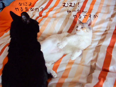 2009_03150034aa.JPG