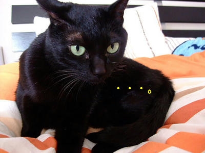 2009_03150043cc.JPG