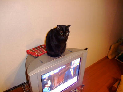 2009_01010015a.JPG