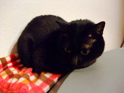 2009_03090046b.JPG