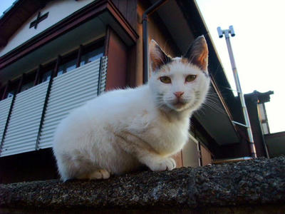 2009_04160017b.JPG