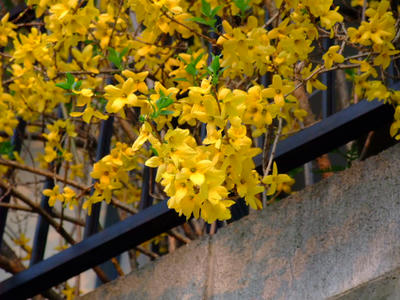 2009_04160026.JPG