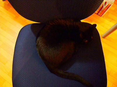 2009_04160033a.JPG