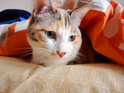 2009_06140025a.JPG