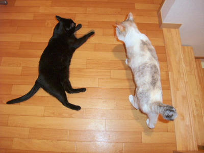 2009_06140089f.JPG
