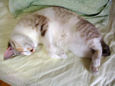 2009_06140183g.JPG