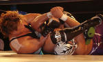 DSC02507.jpg