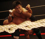 DSC09755.jpg
