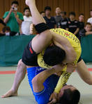 20d8.jpg