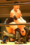 img_53746_60953453_3.jpg