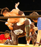 img_53746_60942626_2.jpg
