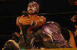 img_53746_60939187_4.jpg