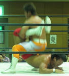img_1575747_52541147_0.jpg