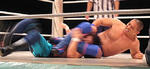 img_53746_50108277_0.jpg