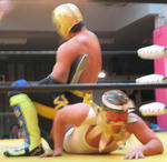img_53746_18739456_0.jpg