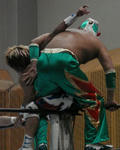 img_445606_20396078_4.jpg