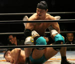 img_445606_18937239_1.jpg