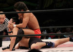 2012282232.jpg