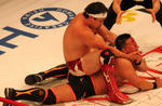 img_423211_4784611_11.jpg