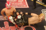 dsc08115.jpg
