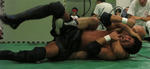 20124012212.jpg