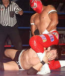 maskedMangler.jpg