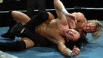 BarnesScissor1.jpg