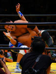201251823151.JPG