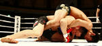 201210132219.jpg