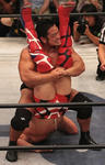 201210272331.jpg