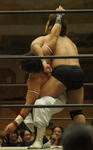 2012102923201.jpg