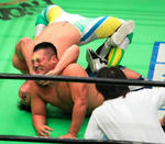 201210292341.jpg