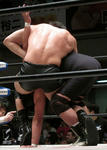 201211102310.jpg