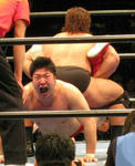 201211102315.jpg