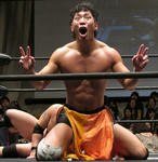 201211132317.jpg