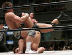 20121121016.jpg
