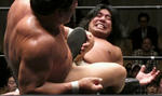 201211302327.jpg
